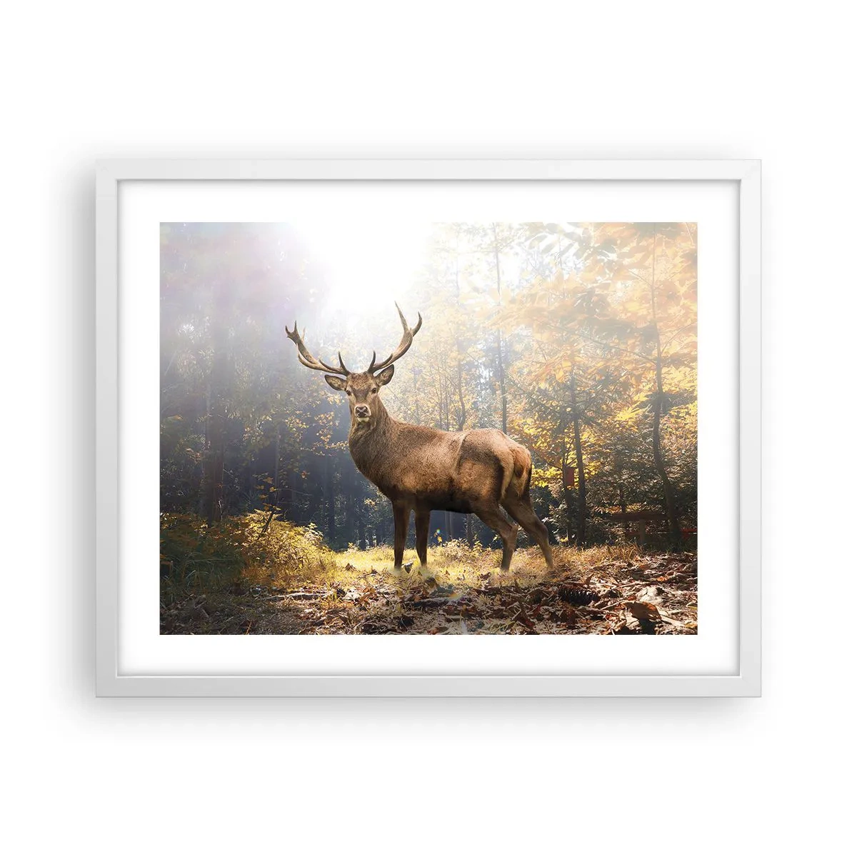 Póster en marco blanco - Con toda la majestuosidad - 50x40 cm