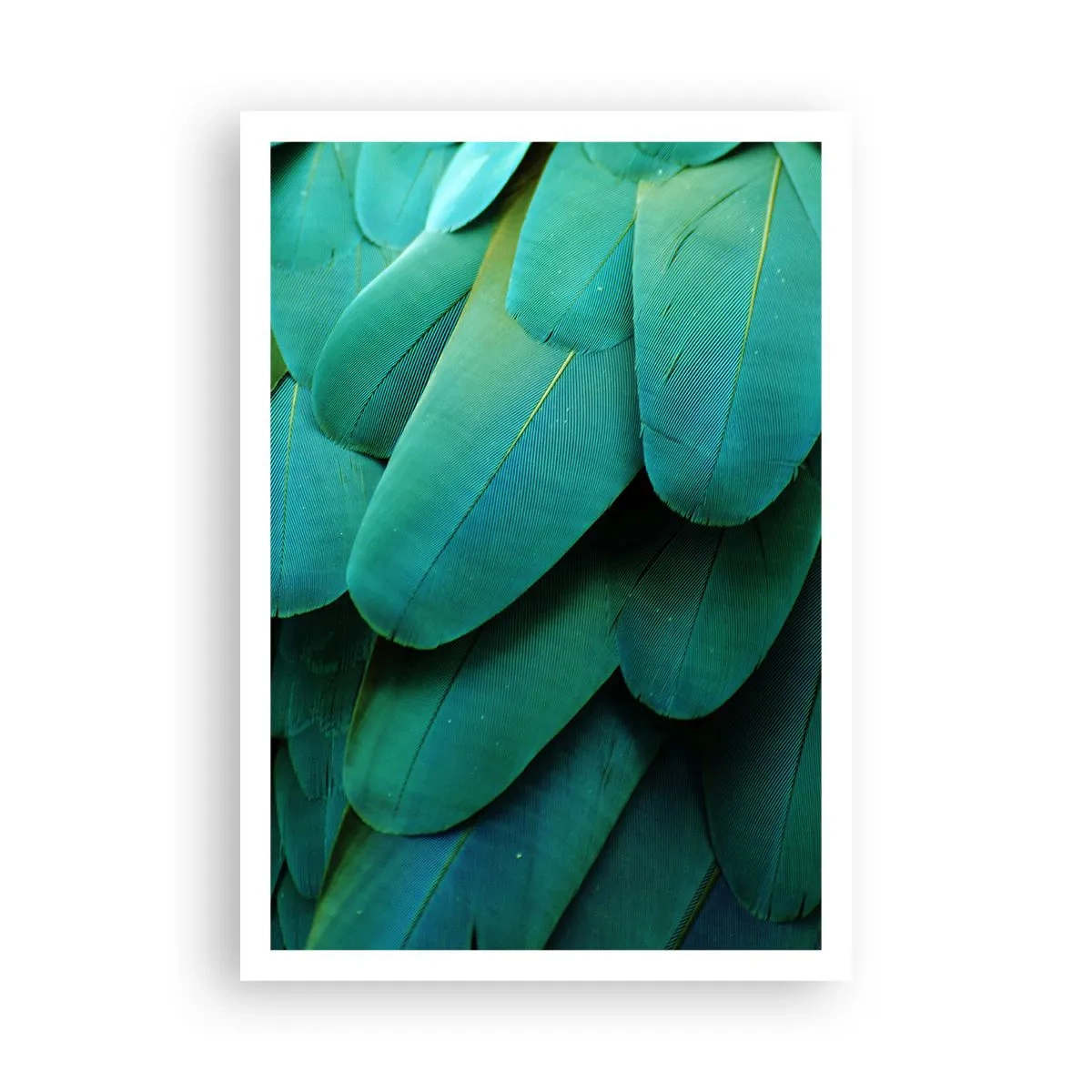 Póster - La precisión de la naturaleza - 70x100 cm