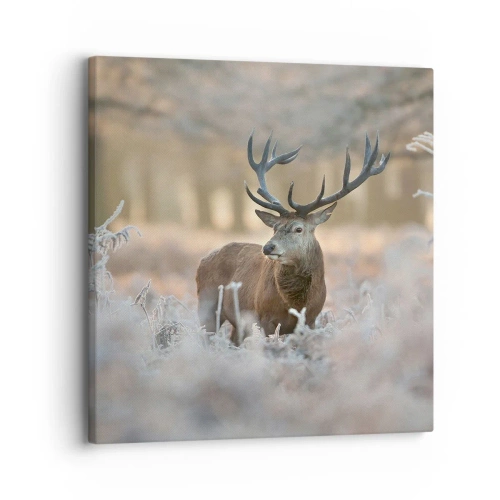 Cuadro sobre lienzo - Impresión de Imagen - Una mañana fresca - 30x30 cm