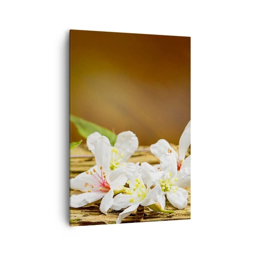 Cuadro sobre lienzo - Impresión de Imagen - Flores blancas sobre un fondo de madera con luz natural. - 70x100cm - Una promesa inocente - Decoración de pared moderna para salón y dormitorio ARTTOR