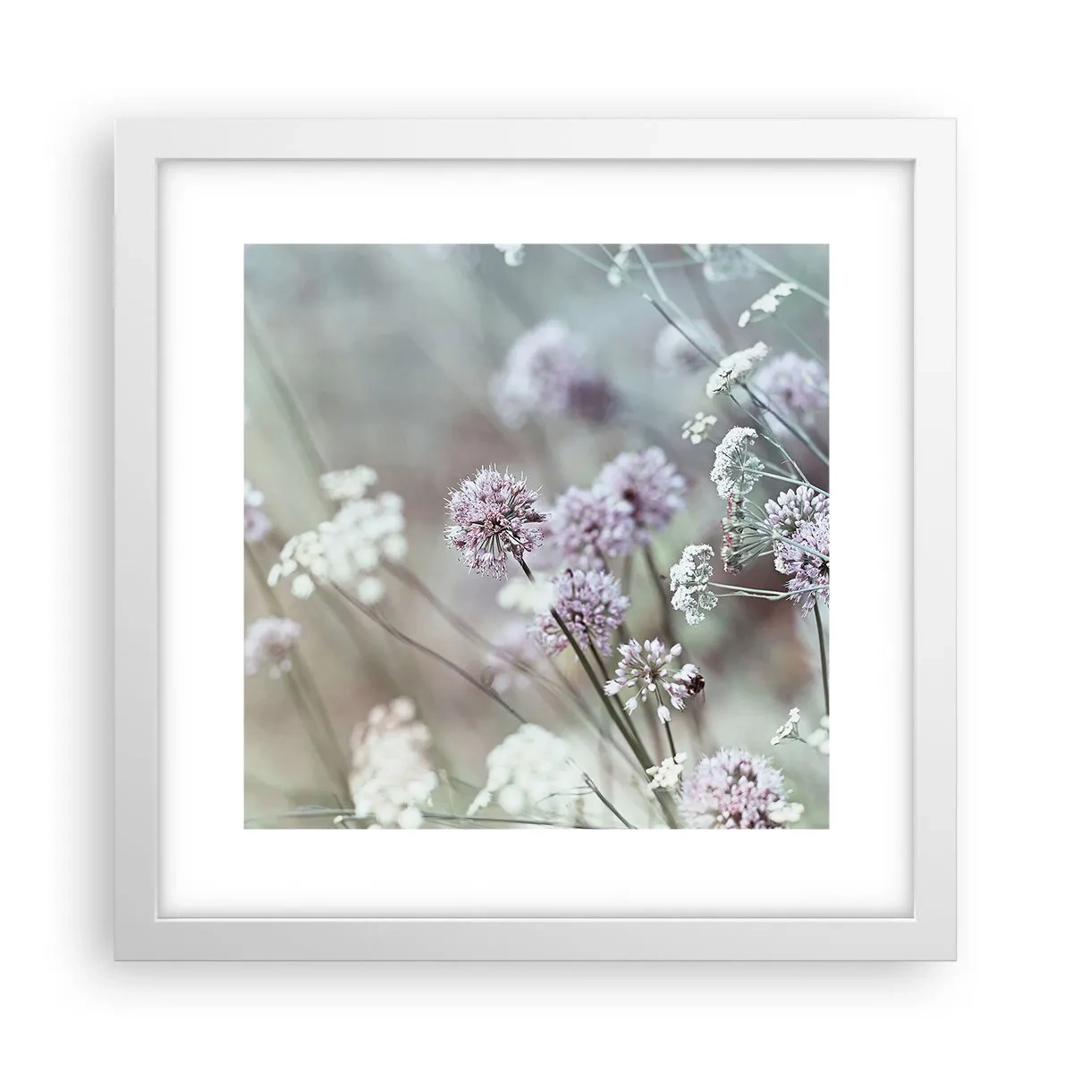 Póster en marco blanco - Dulces filigranas de hierbas - 30x30 cm