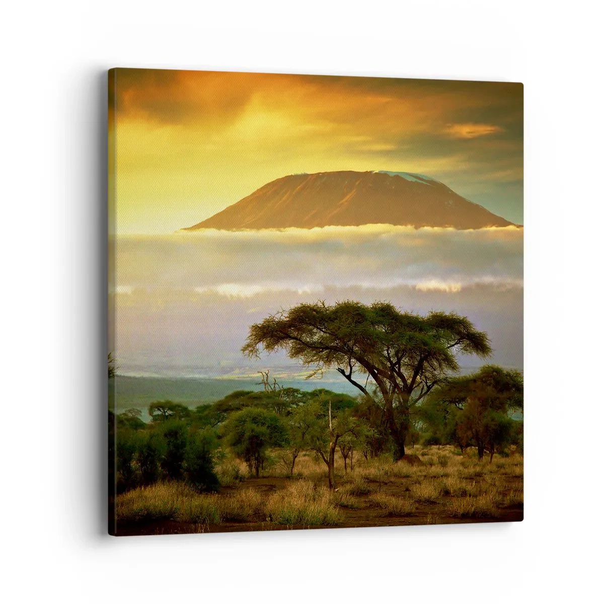 Cuadro sobre lienzo - Impresión de Imagen - El sueño del viajero - 40x40 cm