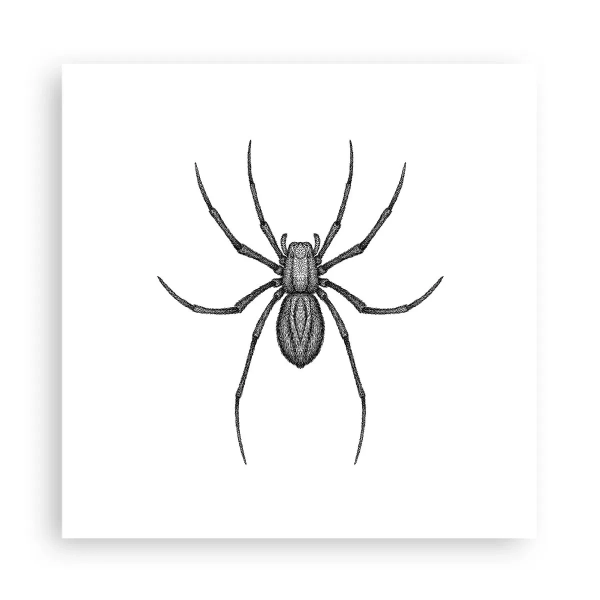 Póster - Precisión inquietante - 30x30 cm