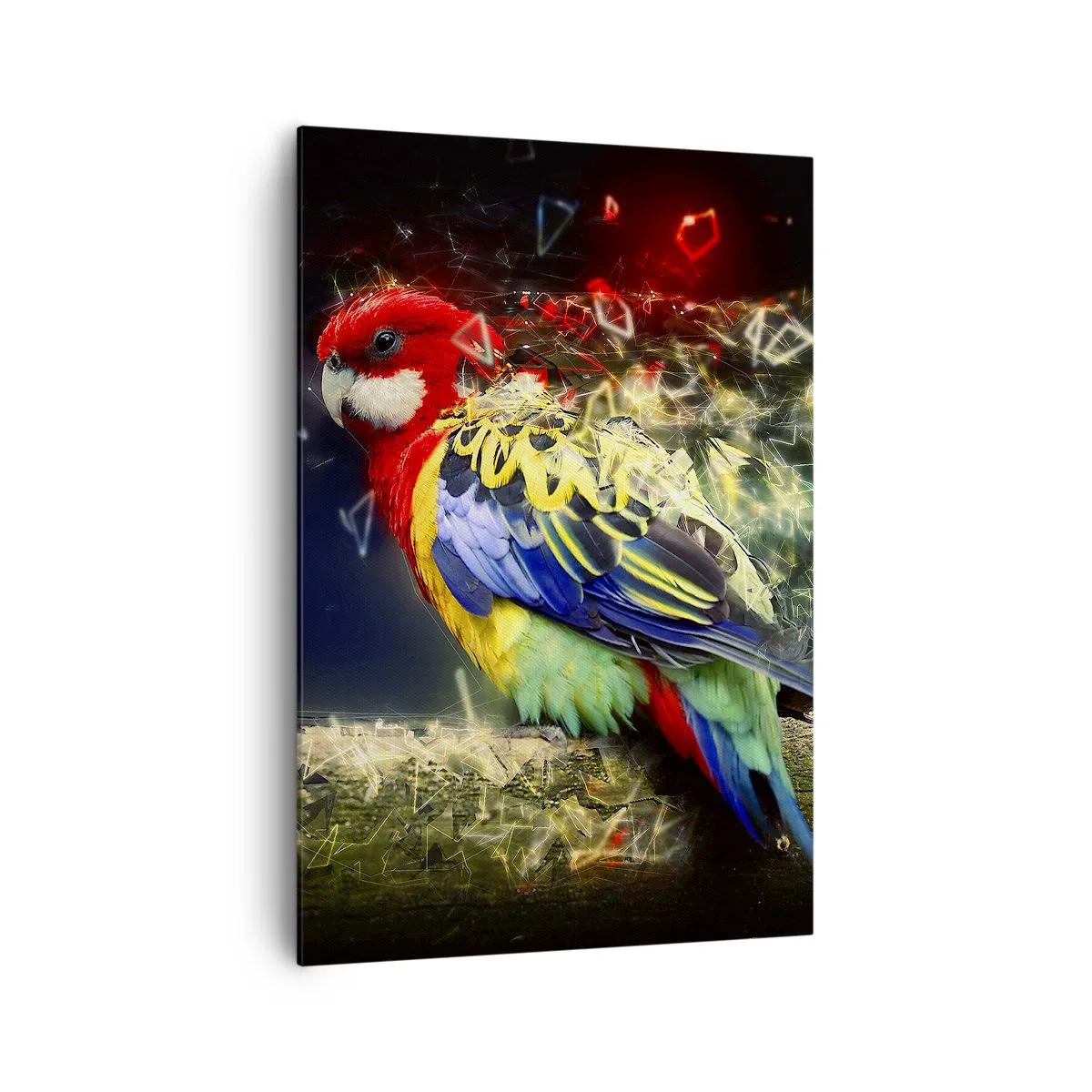 Cuadro sobre lienzo - Impresión de Imagen - Un loro en colores vivos sobre un fondo de efectos de luz. - 70x100cm - Un mensajero del glamour - Decoración de pared moderna para salón y dormitorio ARTTOR