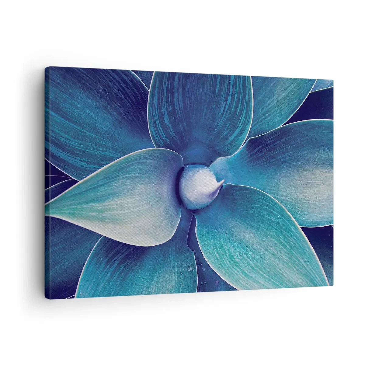 Cuadro sobre lienzo - Impresión de Imagen - Primer plano de una flor abstracta en tonos azules. - 70x50cm - Azul del cielo - Decoración de pared moderna para salón y dormitorio ARTTOR