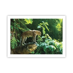 Póster - ¿A la caza? - 70x50 cm