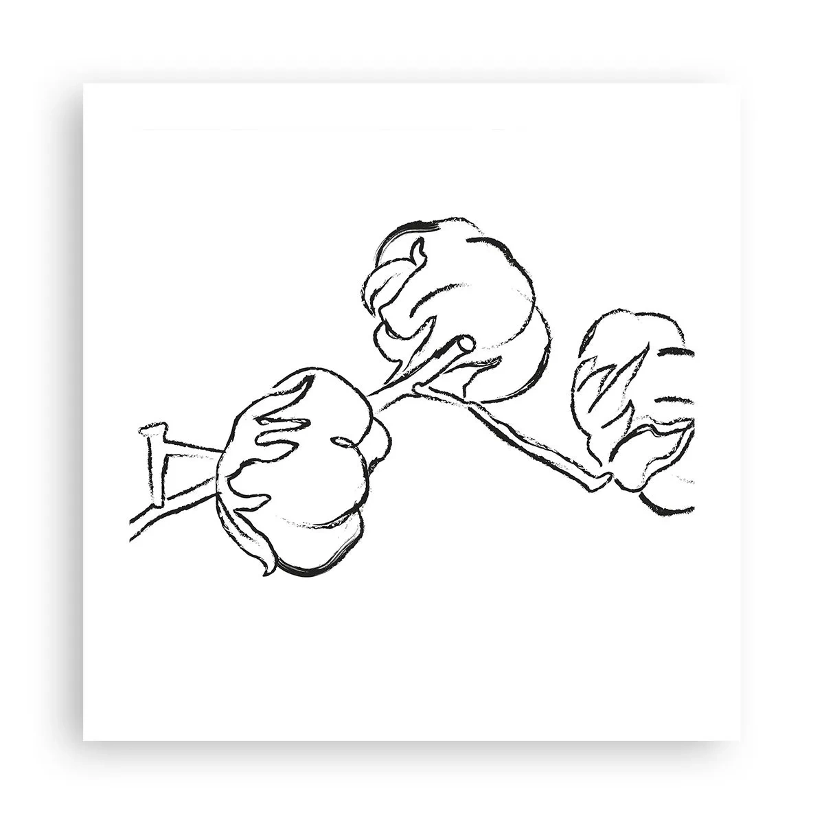 Póster - Plumón de algodón - 50x50 cm