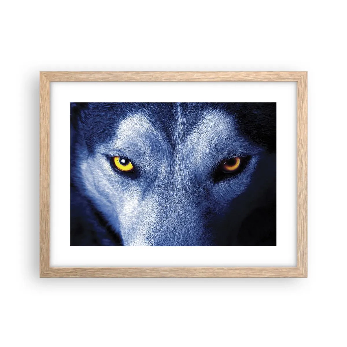 Póster en marco roble claro - La mirada hipnótica - 40x30 cm