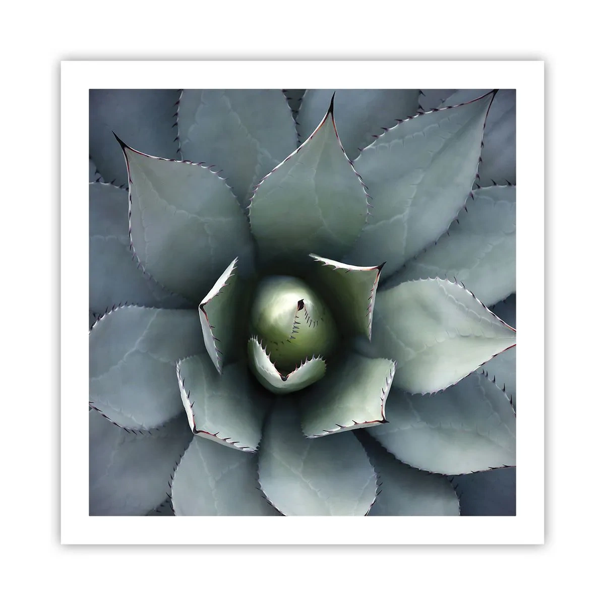 Póster - Perfección natural - 60x60 cm