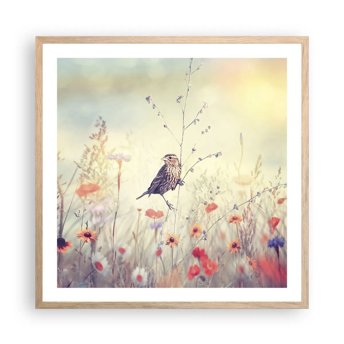 Póster en marco roble claro - Retrato de pájaro con prado de fondo - 60x60 cm