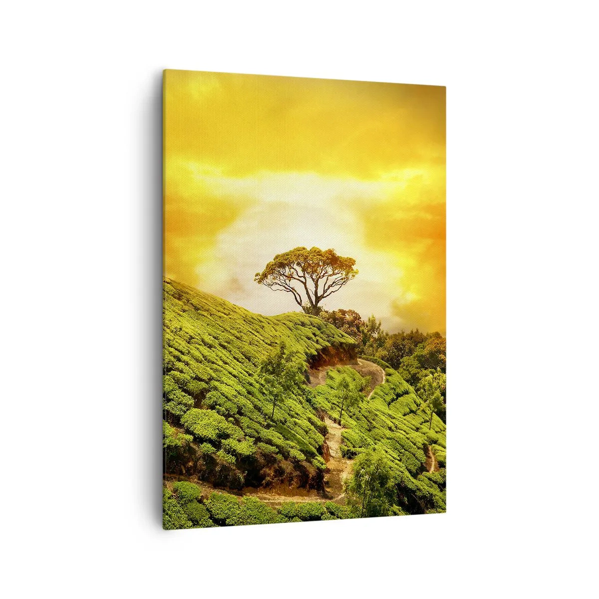 Cuadro sobre lienzo - Impresión de Imagen - Colinas verdes de plantaciones de té al atardecer - 70x100cm - Por un camino sinuoso, por una verde pendiente - Decoración de pared moderna para salón y dormitorio ARTTOR