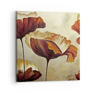 Cuadro sobre lienzo - Impresión de Imagen - Prado de prados - 70x70 cm