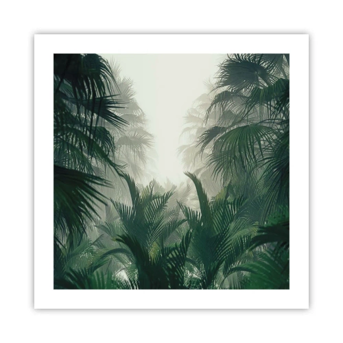Póster - Misterio tropical - 50x50 cm
