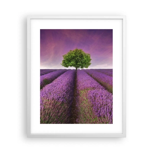 Póster en marco blanco - En los campos de lavanda - 40x50 cm