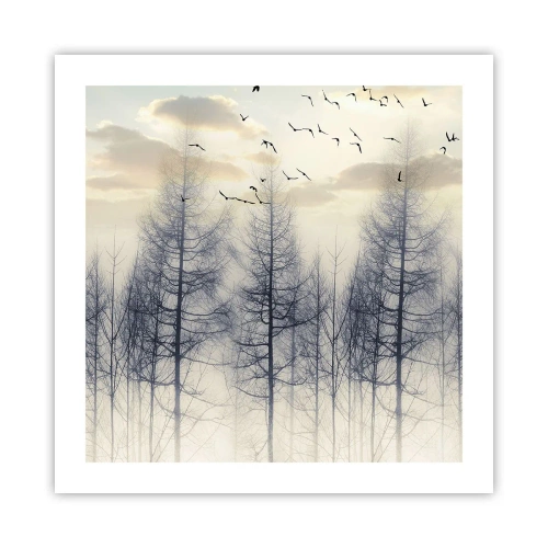 Póster - Espíritus del bosque - 50x50 cm