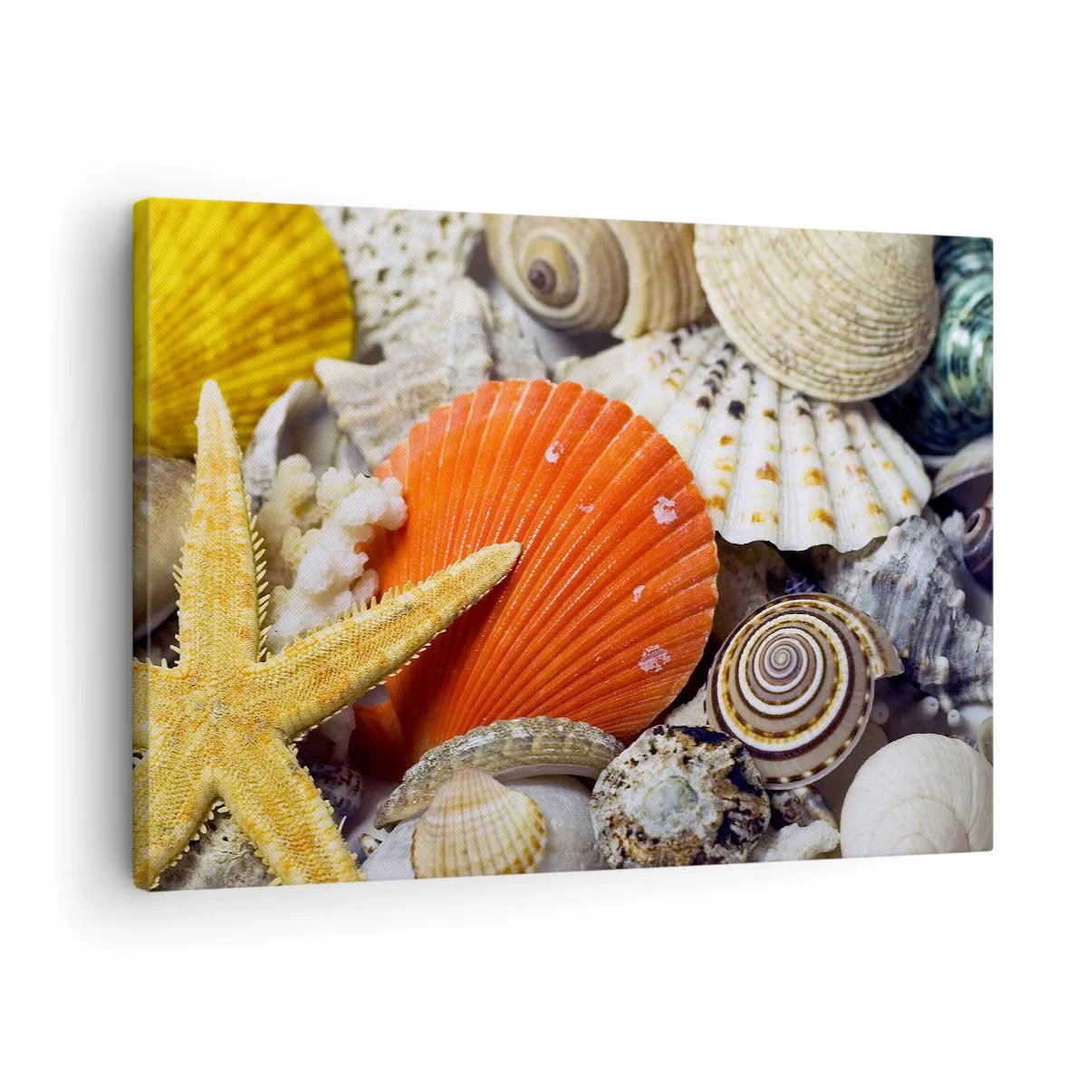 Cuadro sobre lienzo - Impresión de Imagen - Conchas y estrellas de mar en una composición marina - 70x50cm - Tesoros del océano - Decoración de pared moderna para salón y dormitorio ARTTOR