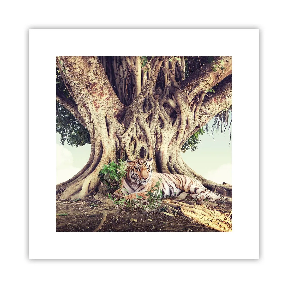 Póster - Una visión desde el Génesis - 30x30 cm