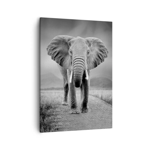 Cuadro sobre lienzo - Impresión de Imagen - Un poderoso elefante en la sabana en tonos monocromáticos. - 50x70cm - El anfitrión da la bienvenida - Decoración de pared moderna para salón y dormitorio ARTTOR
