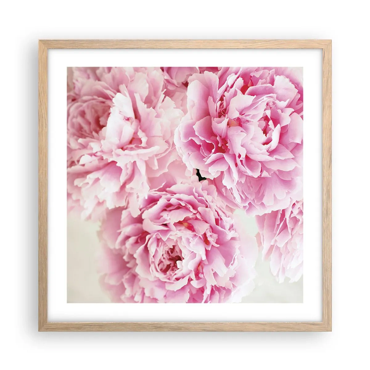 Póster en marco roble claro - En el esplendor del rosa - 50x50 cm