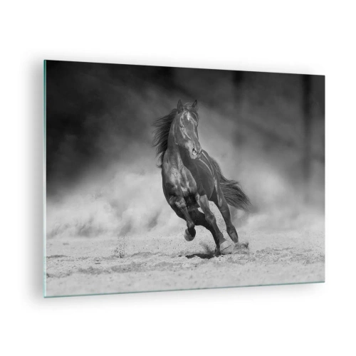 Cuadro sobre vidrio - Impresiones sobre Vidrio - Un caballo negro galopando sobre la arena en blanco y negro. - 70x50cm - Digno del propio emir - Decoración de pared moderna para salón y dormitorio ARTTOR