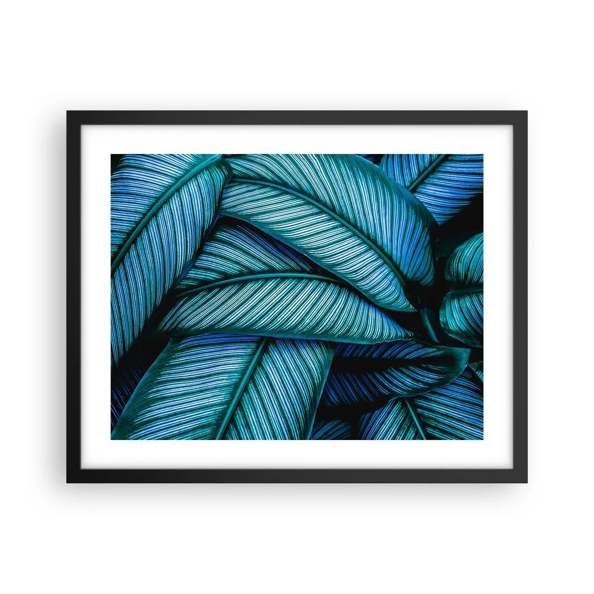 Póster en marco negro - Líneas de vida - 50x40 cm