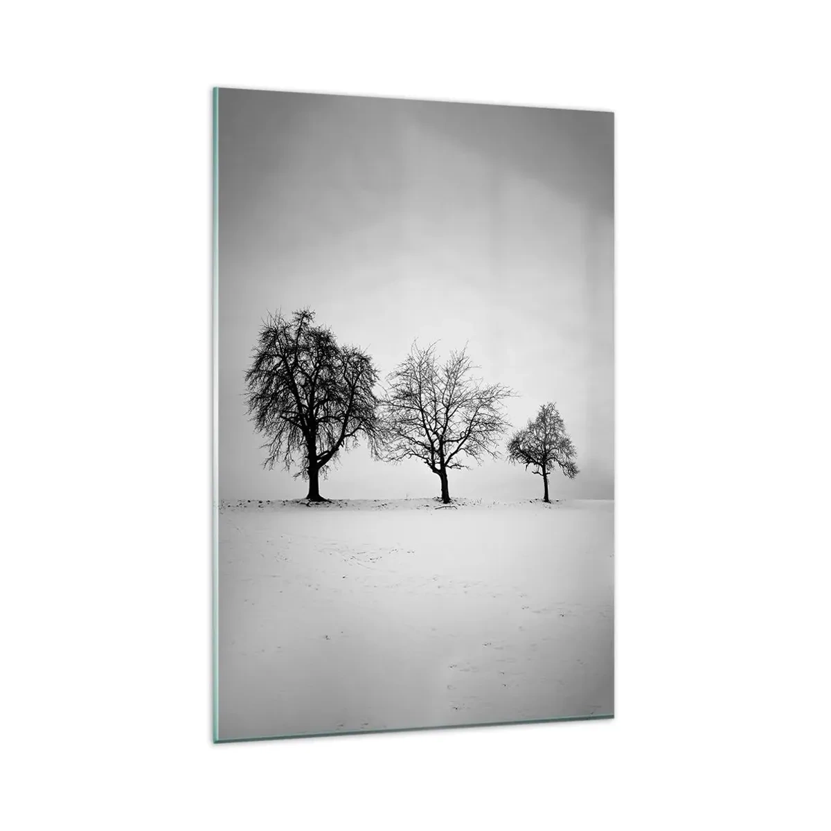 Cuadro sobre vidrio - Impresiones sobre Vidrio - Tres árboles en un campo nevado en estilo monocromático. - 80x120cm - ¿Con qué sueñan? - Decoración de pared moderna para salón y dormitorio ARTTOR