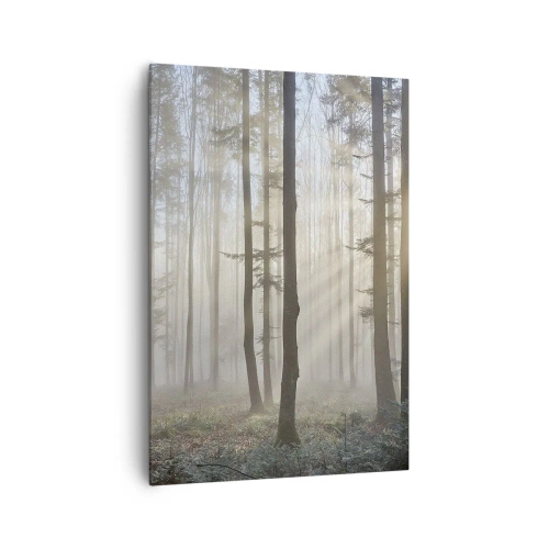 Cuadro sobre lienzo - Impresión de Imagen - Un bosque en medio de una ligera niebla con rayos de sol brillando a través de los árboles. - 70x100cm - La niebla también está despierta - Decoración de pared moderna para salón y dormitorio ARTTOR
