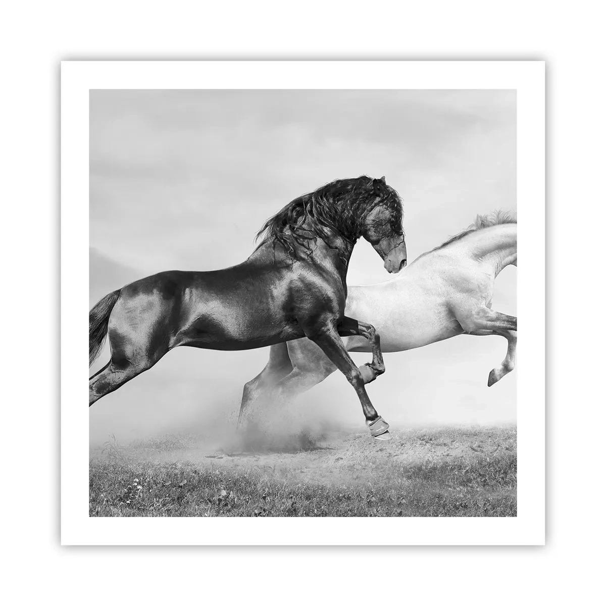 Póster - Ángeles y demonios - 60x60 cm