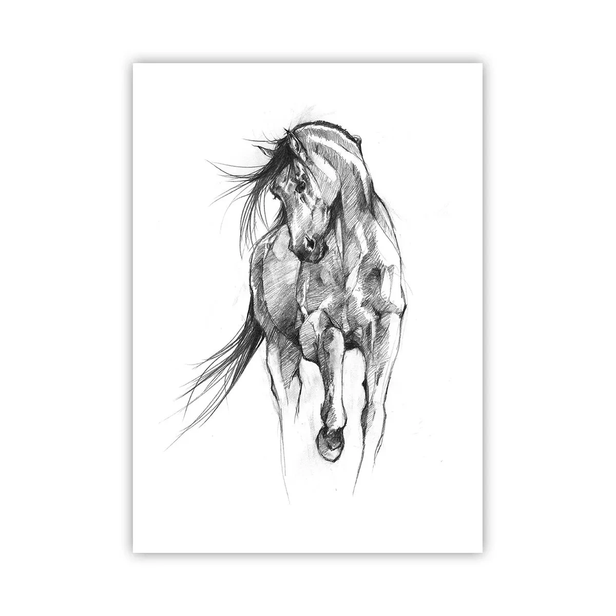Póster - Boceto de un caballo en una pose dinámica. - 50x70cm - En un elegante trote - Decoración de pared moderna para salón y dormitorio ARTTOR