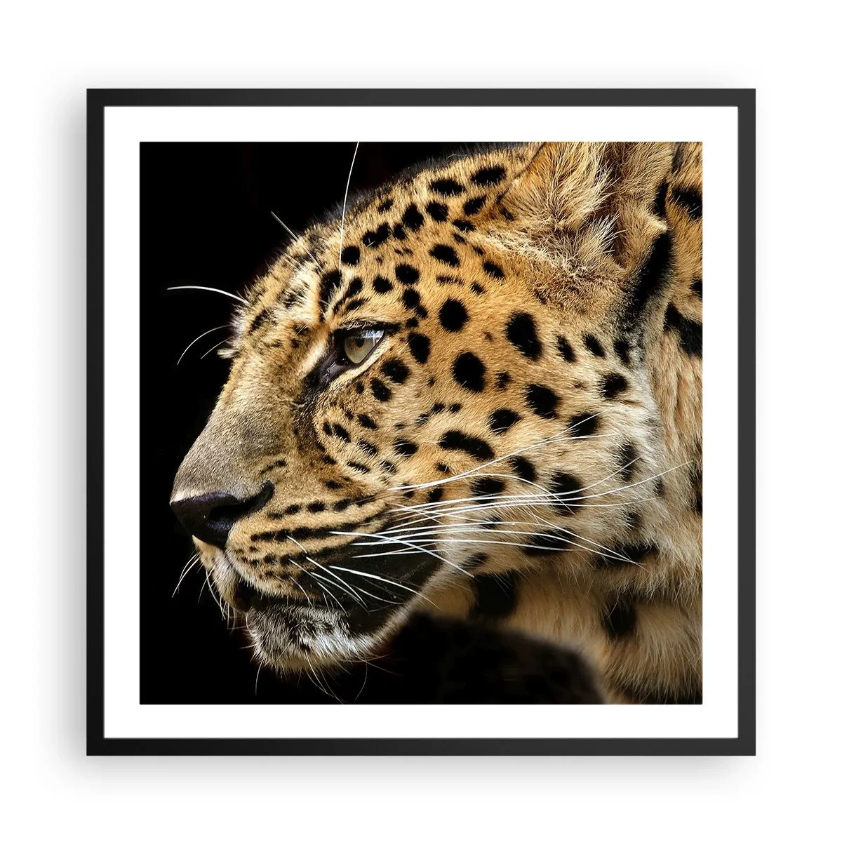 Póster en marco negro - Tranquilo, concentrado, preparado - 60x60 cm