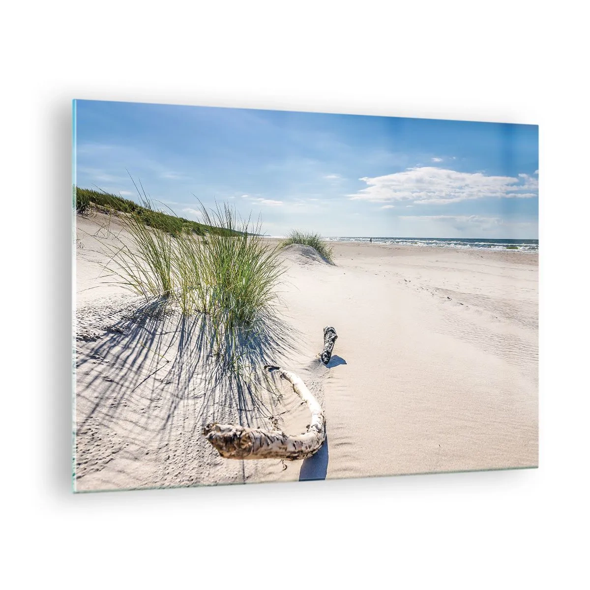 Cuadro sobre vidrio - Impresiones sobre Vidrio - Una playa soleada con dunas y posidonia. - 70x50cm - ¿La más bella? Báltico - Decoración de pared moderna para salón y dormitorio ARTTOR