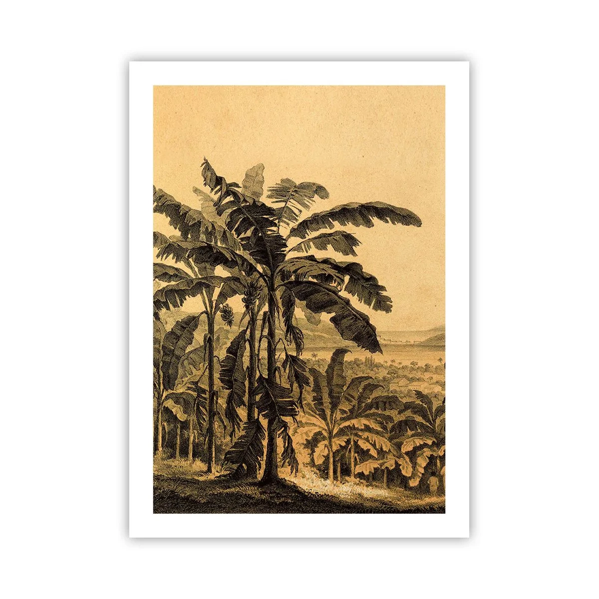 Póster - Ilustración de palmeras sobre un fondo de paisaje tropical - 50x70cm - En un ambiente colonial - Decoración de pared moderna para salón y dormitorio ARTTOR