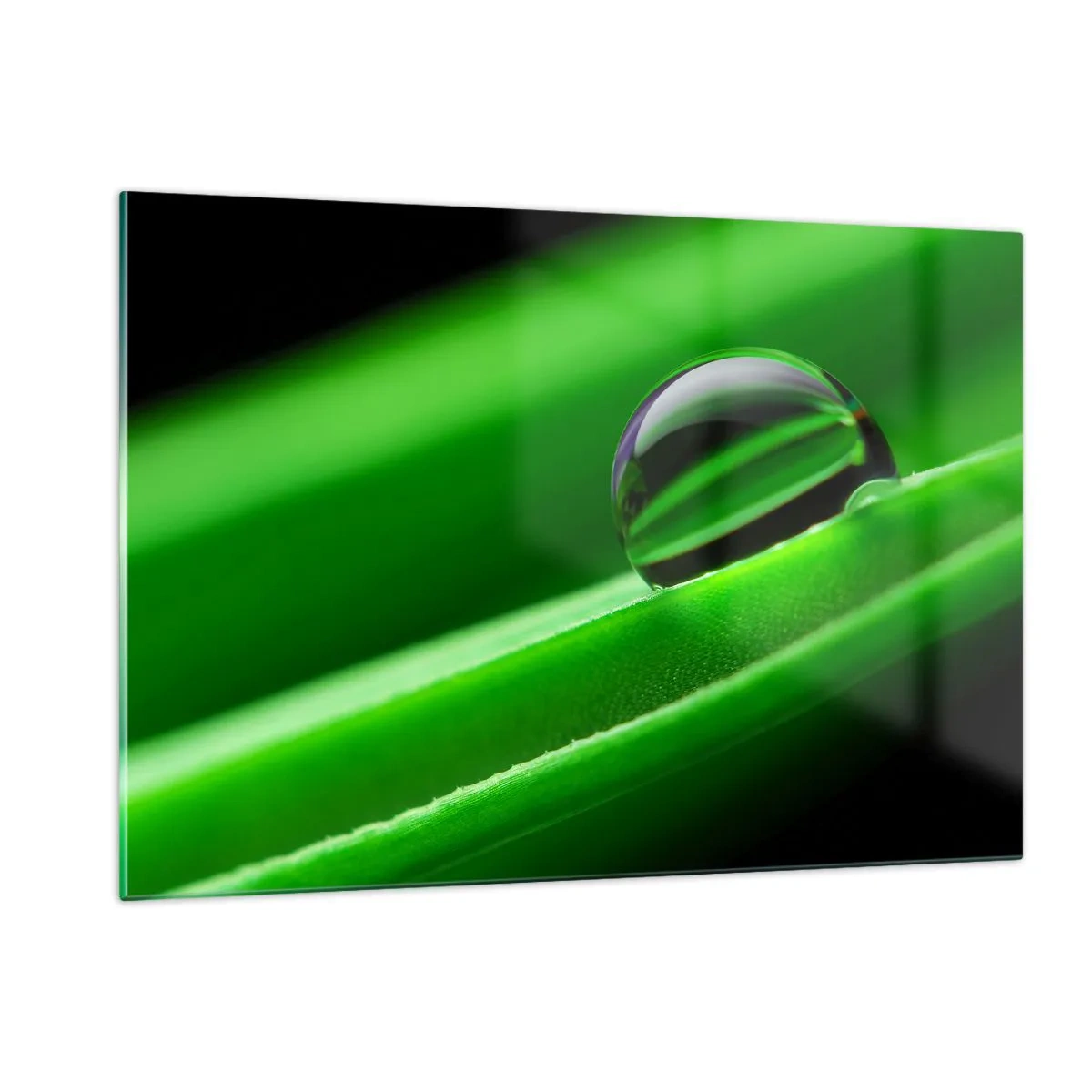 Cuadro sobre vidrio - Impresiones sobre Vidrio - Una gota de rocío sobre una hoja verde. - 120x80cm - La vida de cerca - Decoración de pared moderna para salón y dormitorio ARTTOR