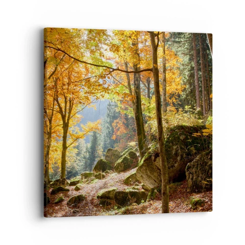 Cuadro sobre lienzo - Impresión de Imagen - Tiempo de descanso - 40x40 cm