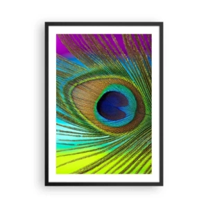 Póster en marco negro - Detalle de una pluma de pavo real en colores intensos. - 50x70cm - Cara a cara - Decoración de pared moderna para salón y dormitorio ARTTOR