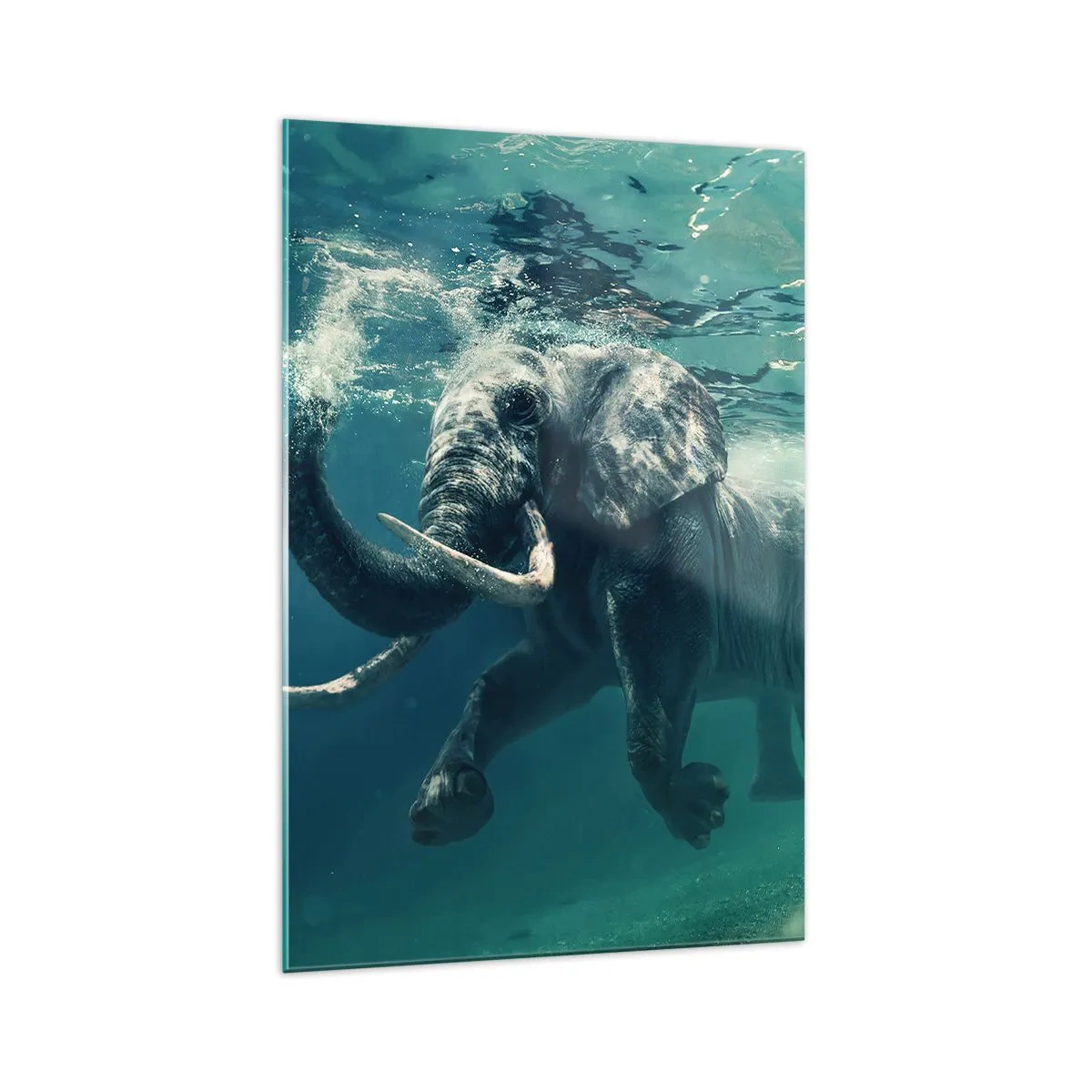 Cuadro sobre vidrio - Impresiones sobre Vidrio - Un elefante nadando bajo el agua en las profundidades turquesas. - 70x100cm - A todos nos gusta nadar - Decoración de pared moderna para salón y dormitorio ARTTOR