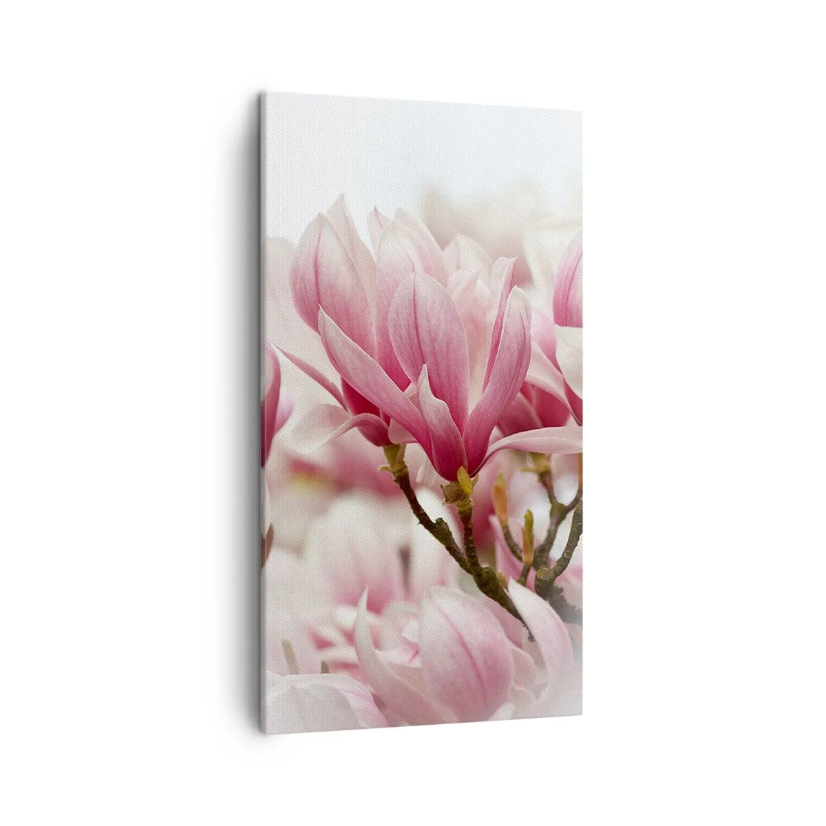 Cuadro sobre lienzo - Impresión de Imagen - Flores primaverales - 45x80 cm