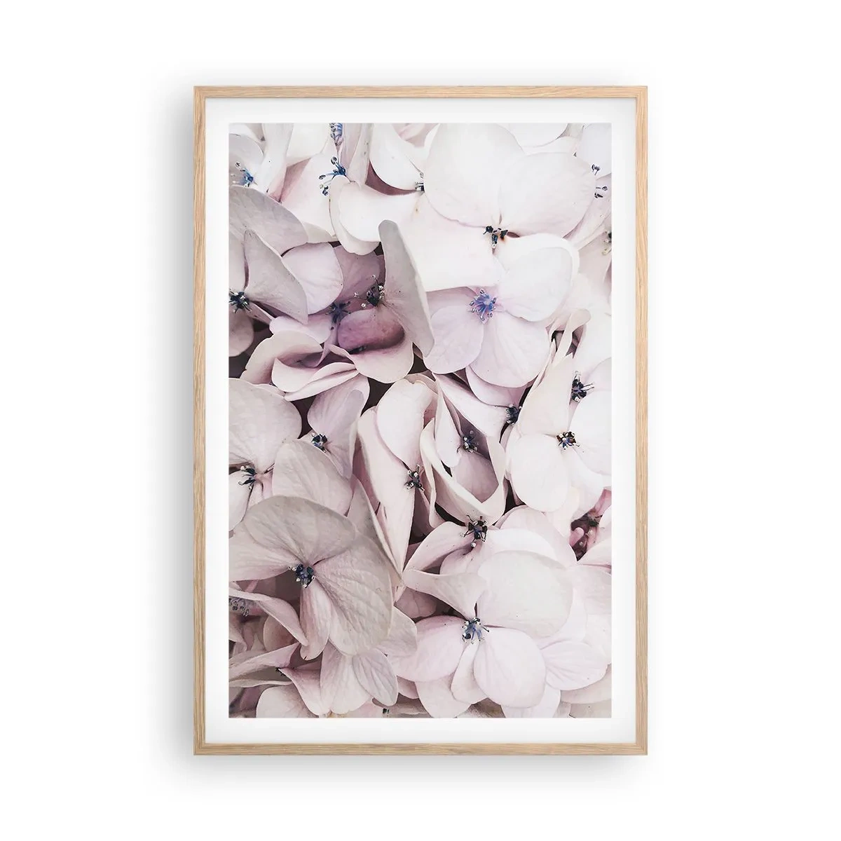 Póster en marco roble claro - En un torrente de flores - 61x91 cm