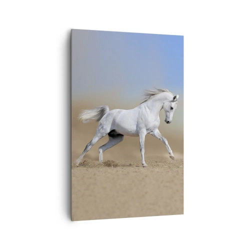 Cuadro sobre lienzo - Impresión de Imagen - Un caballo blanco galopando a través de un paisaje desértico. - 80x120cm - El más bello cuento de hadas árabe - Decoración de pared moderna para salón y dormitorio ARTTOR