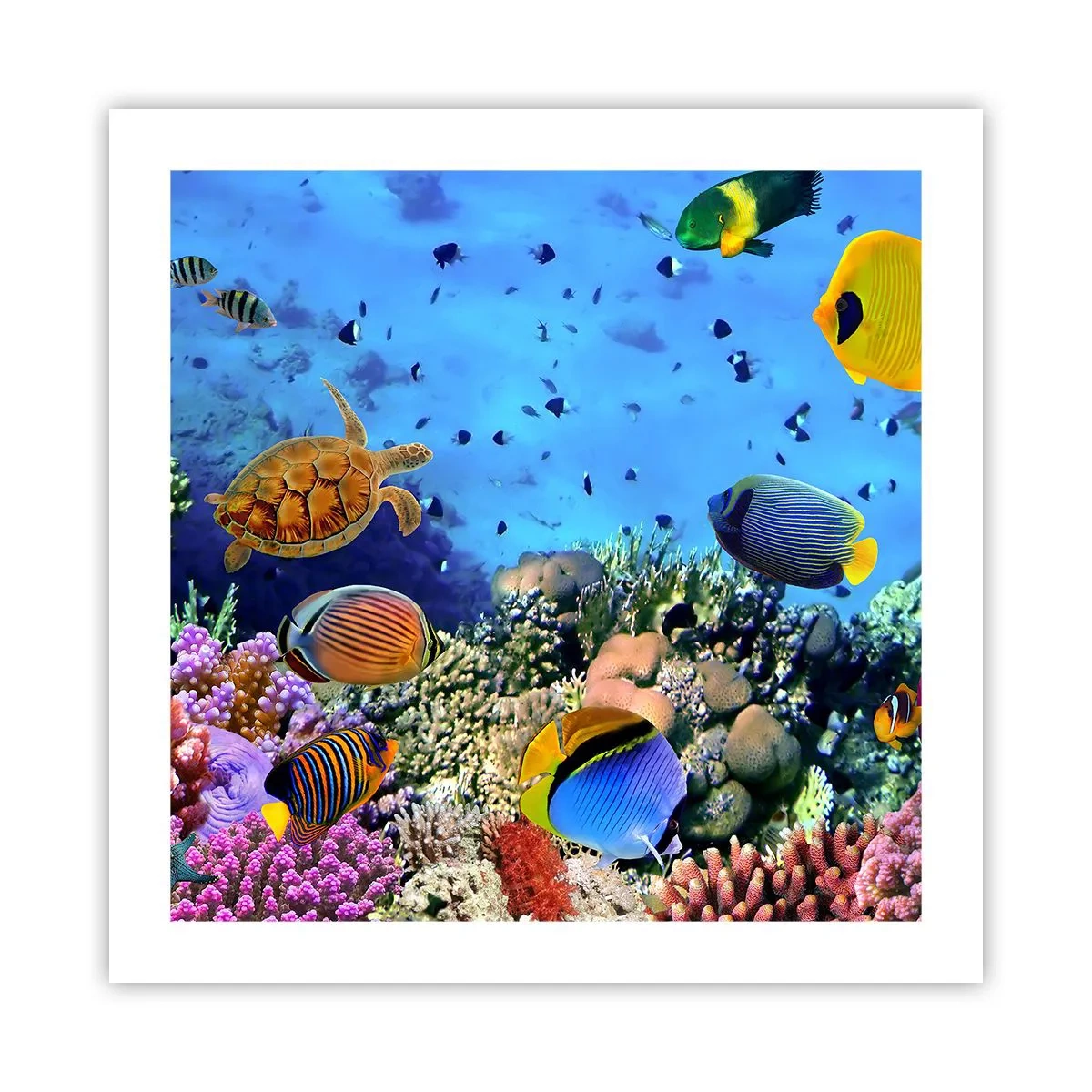 Póster - Y qué sabemos de la vida... - 50x50 cm