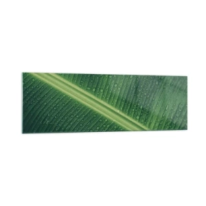 Cuadro sobre vidrio - Impresiones sobre Vidrio - Una hoja verde con gotas de agua en su superficie. - 160x50cm - Estructura del verde - Decoración de pared moderna para salón y dormitorio ARTTOR