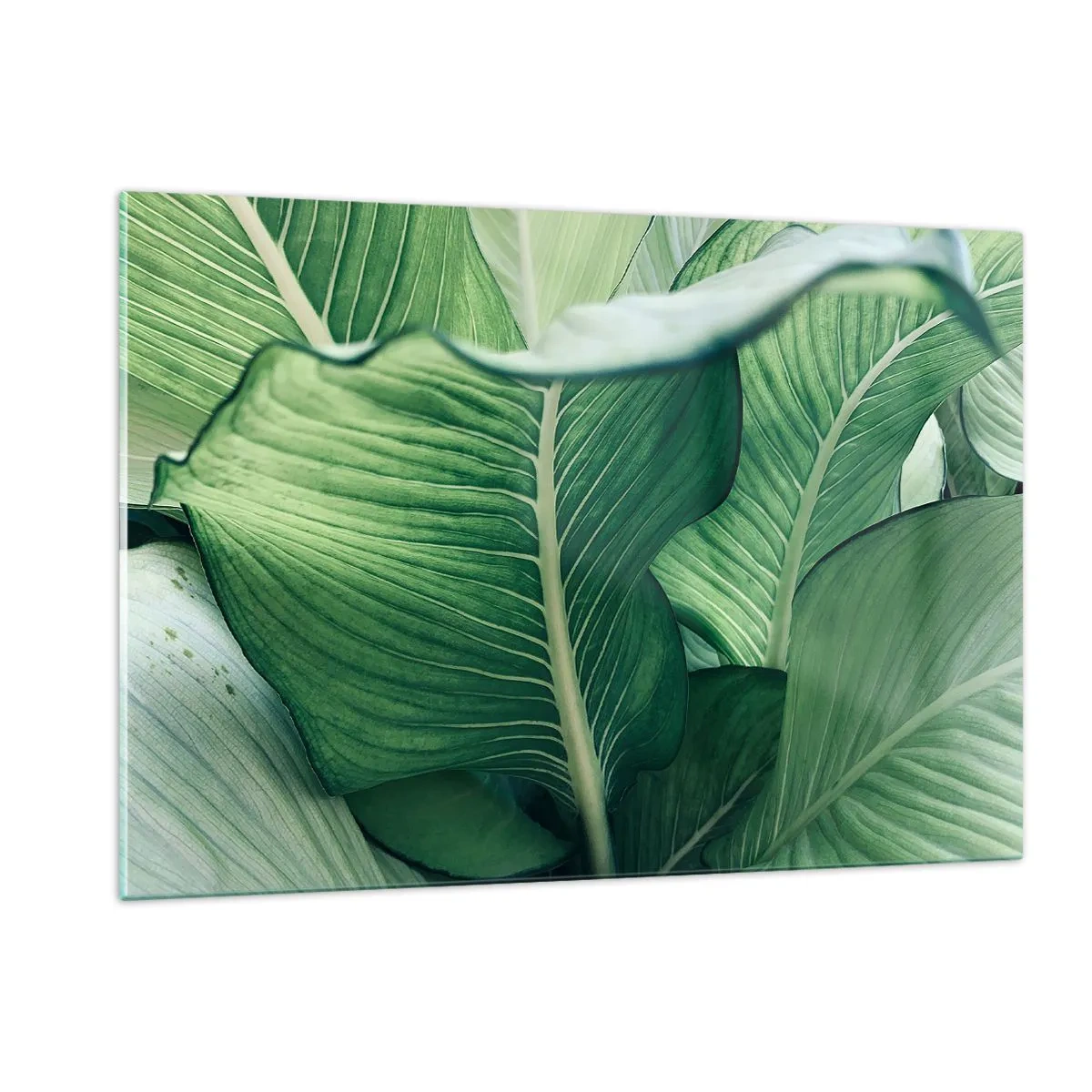 Cuadro sobre vidrio - Impresiones sobre Vidrio - Hojas verdes exuberantes en primer plano y con luz natural. - 120x80cm - Vida intensamente verde - Decoración de pared moderna para salón y dormitorio ARTTOR