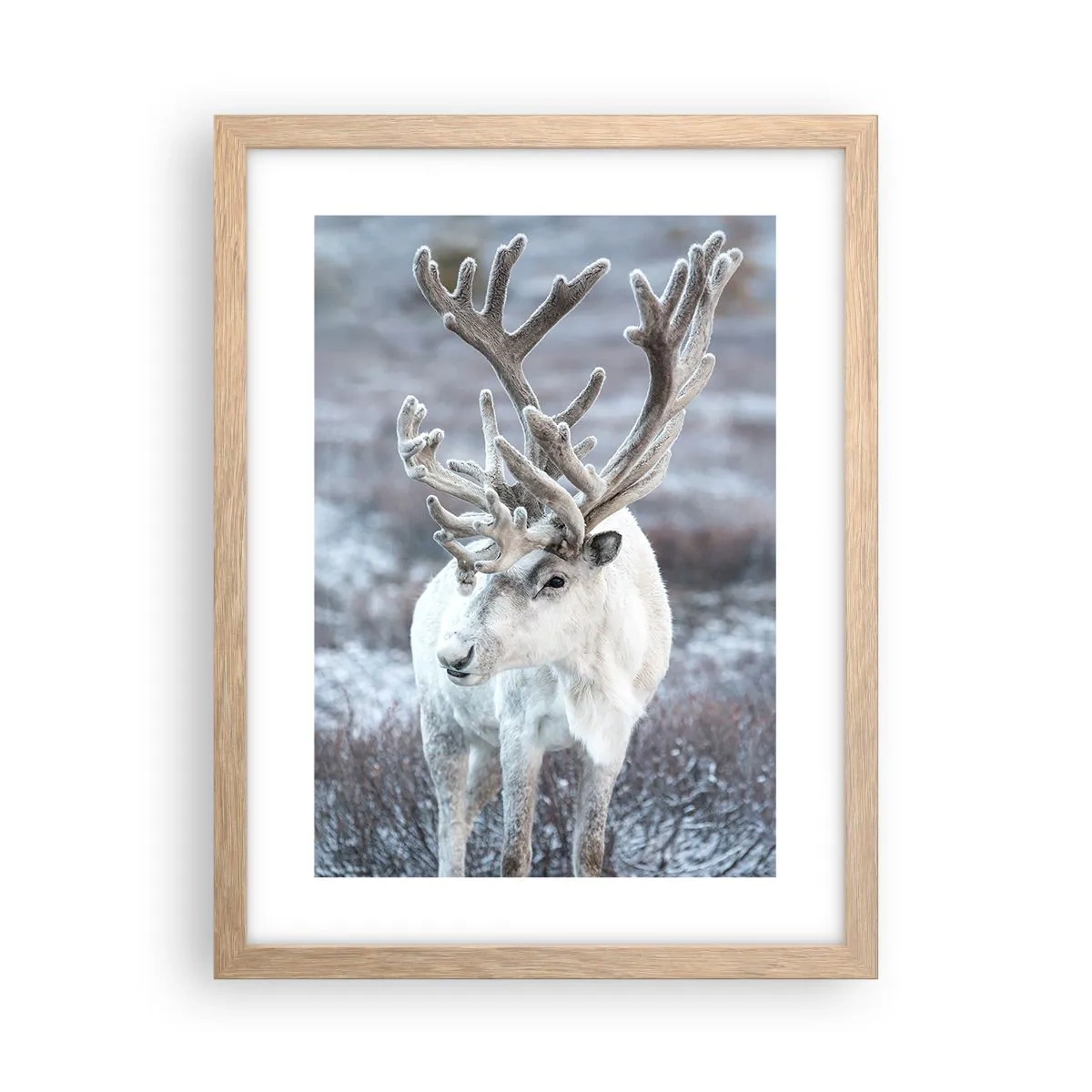 Póster en marco roble claro - Retrato al sol - 30x40 cm