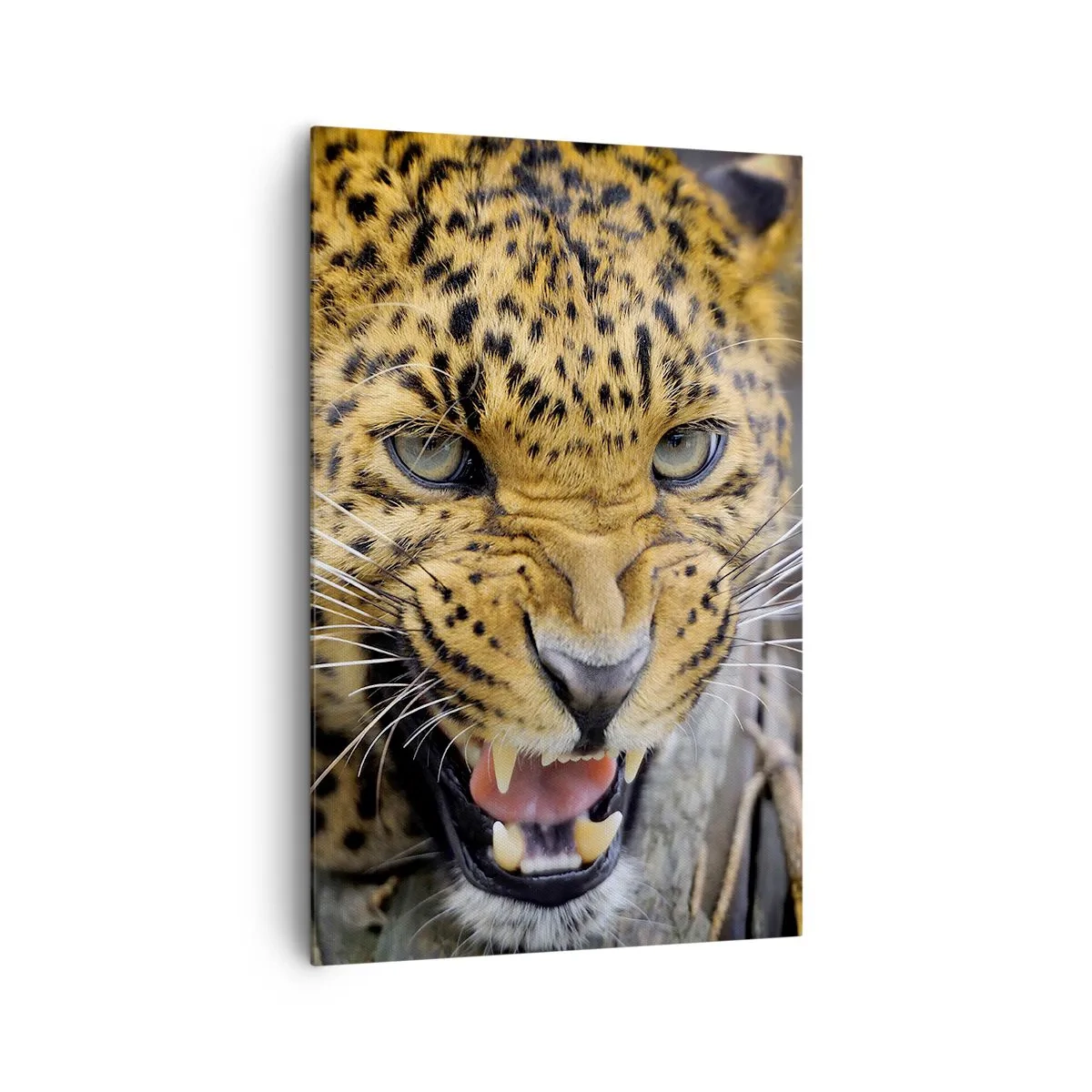 Cuadro sobre lienzo - Impresión de Imagen - Un primer plano de un leopardo amenazante con sus colmillos al descubierto. - 80x120cm - ¡Atrás, te lo advierto! - Decoración de pared moderna para salón y dormitorio ARTTOR