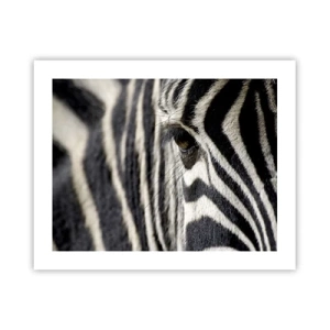 Póster - Retrato a rayas - 50x40 cm