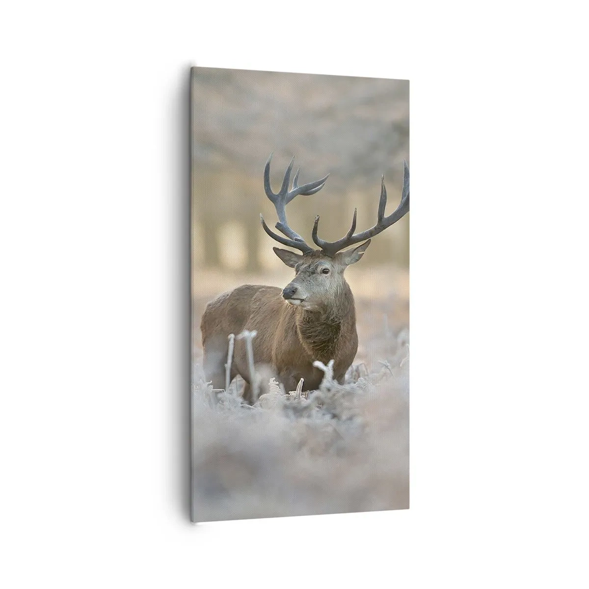 Cuadro sobre lienzo - Impresión de Imagen - Una mañana fresca - 65x120 cm