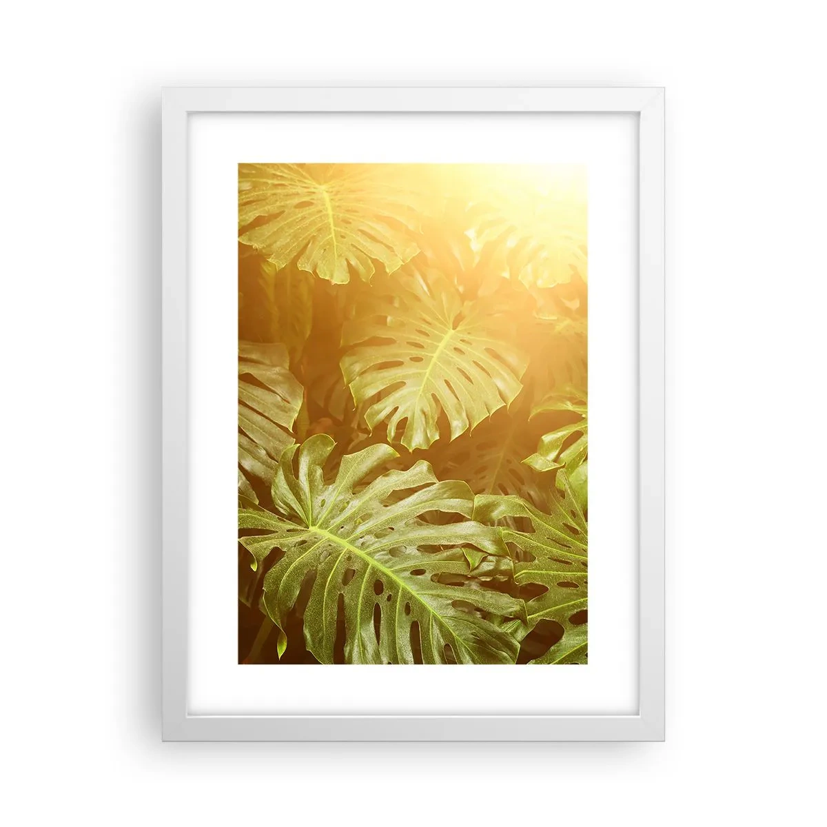 Póster en marco blanco - Hacia el verdor... - 30x40 cm