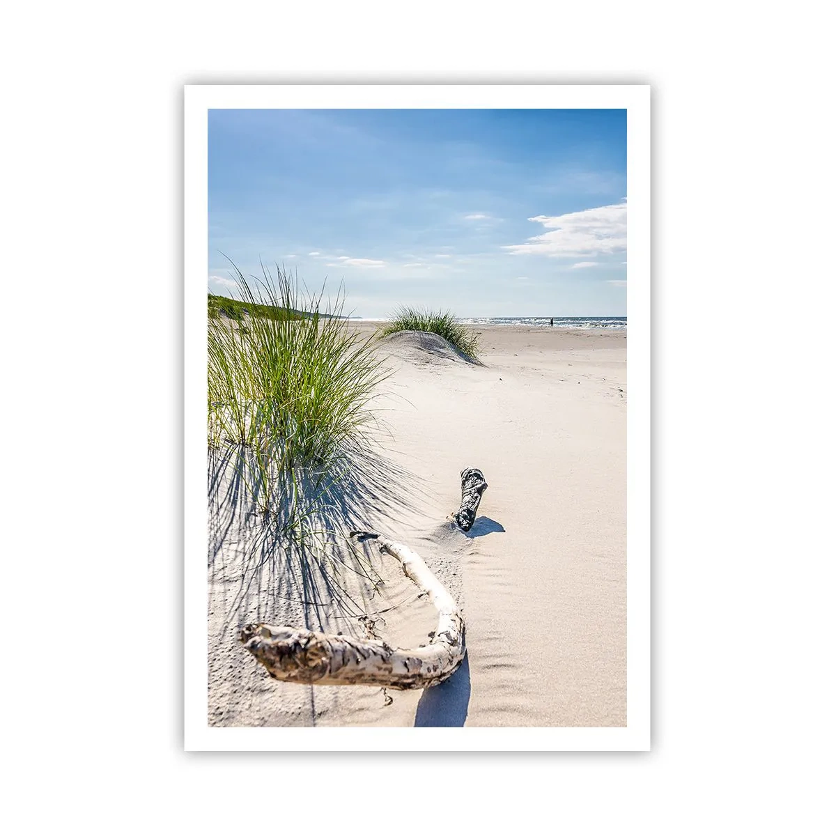 Póster - ¿La más bella? Báltico - 70x100 cm