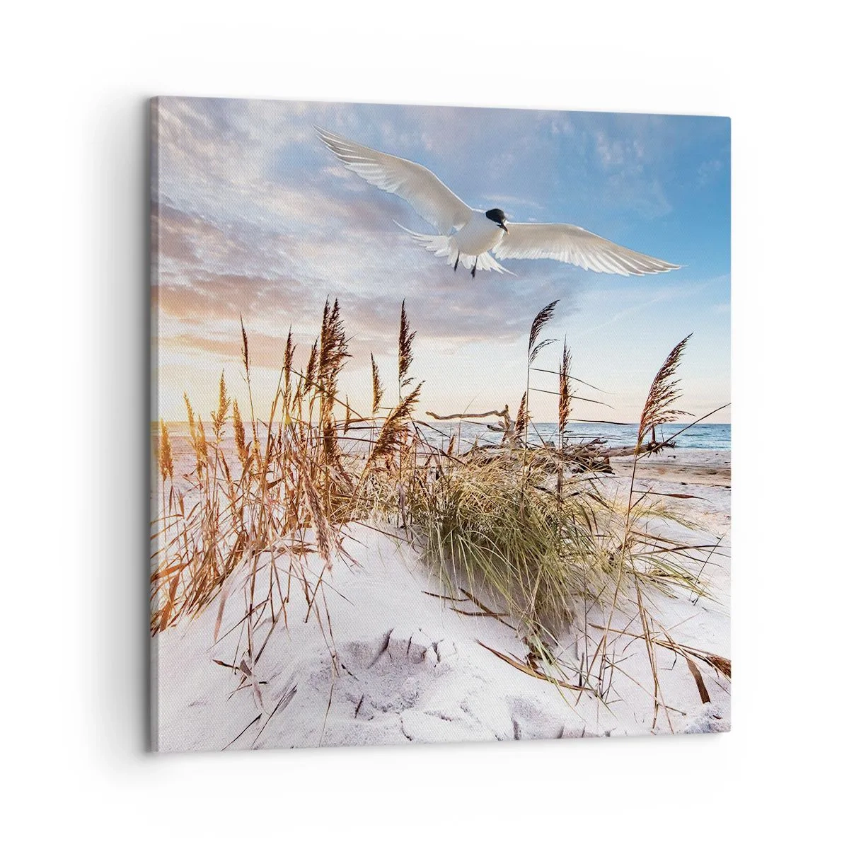 Cuadro sobre lienzo - Impresión de Imagen - Viento del mar - 60x60 cm
