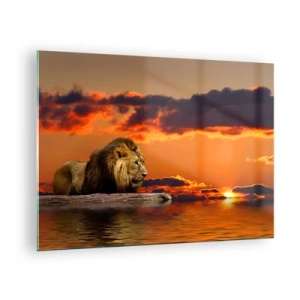 Cuadro sobre vidrio - Impresiones sobre Vidrio - Un león con el sol poniente como telón de fondo - 70x50cm - Rey de la naturaleza - Decoración de pared moderna para salón y dormitorio ARTTOR